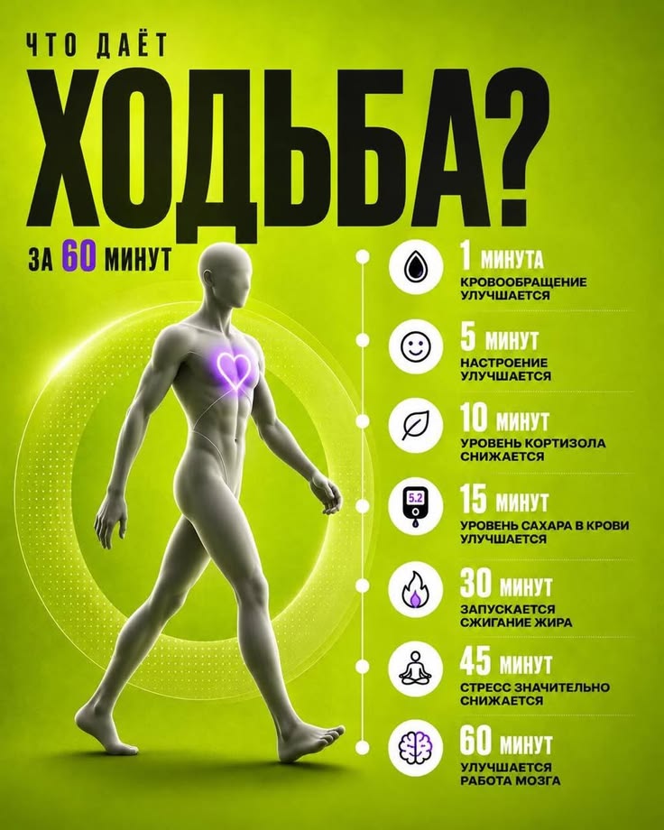 ✨ Что даёт ходьба за 60 минут? ✨